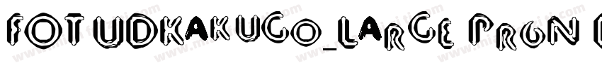 FOT-UDKakugo_Large Pr6N DB字体转换